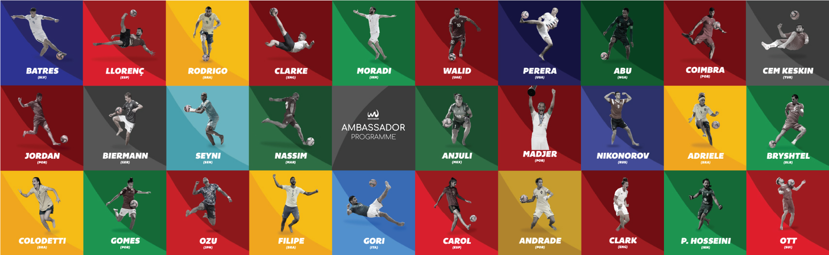 ambassadors-programme