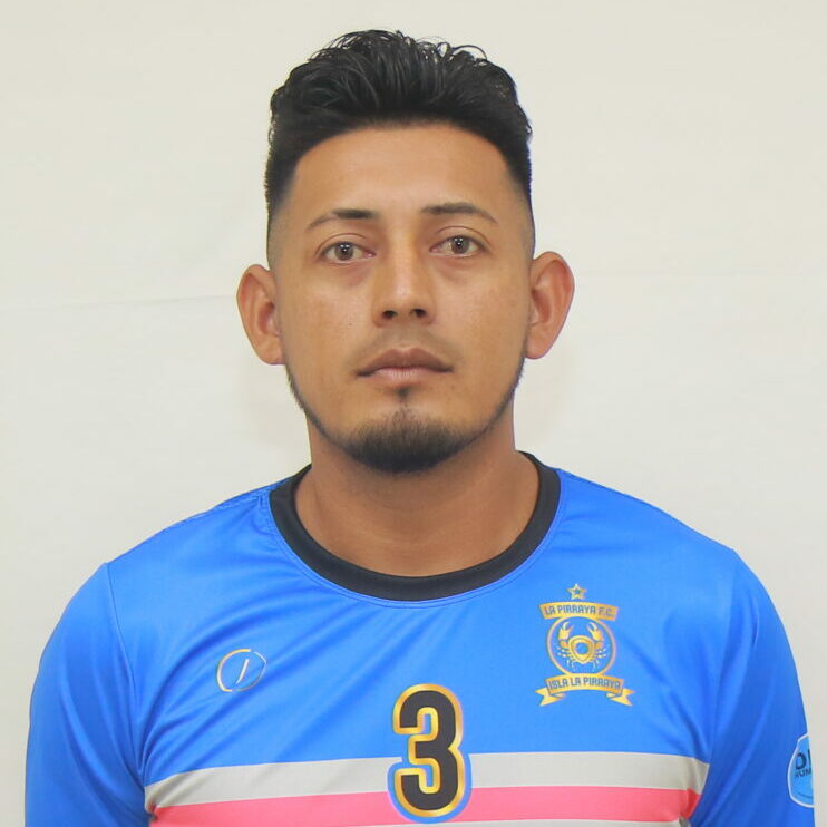 Pineda Guerrero